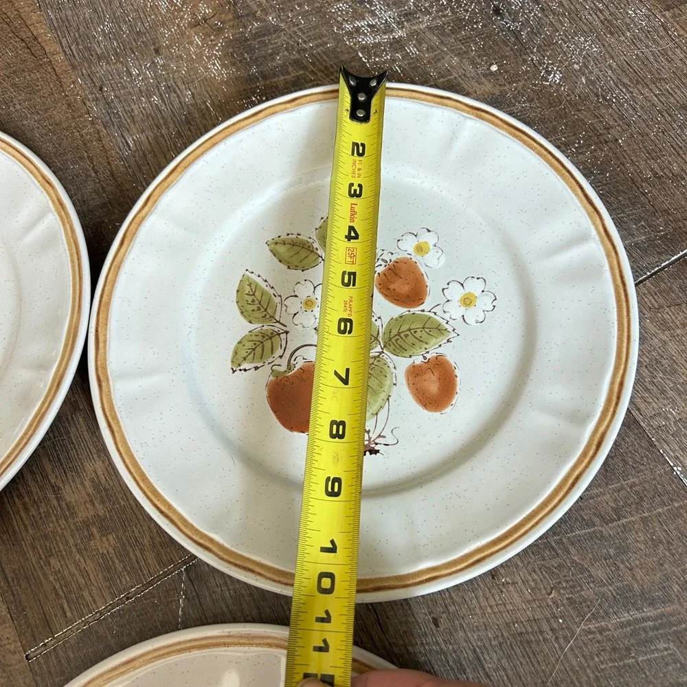 Americana Hearthside Berries n Cream Dinner Plates Set of 4 Stoneware Japan 10.5